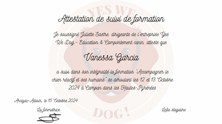 Educateur comportementaliste pour chiens à Rennes