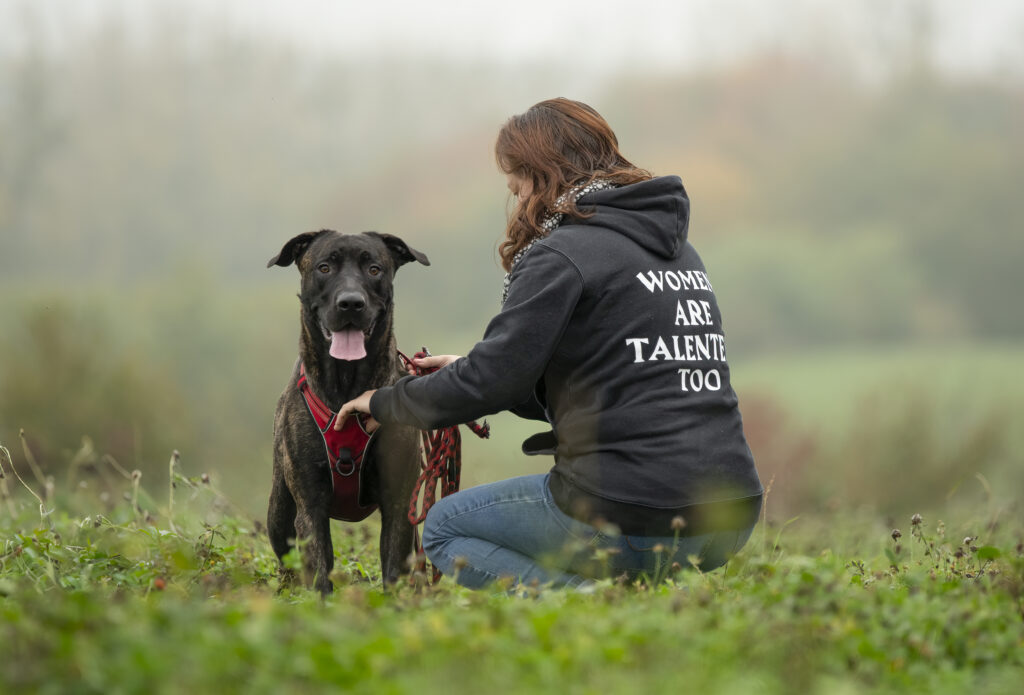 Comportementaliste canin Rennes