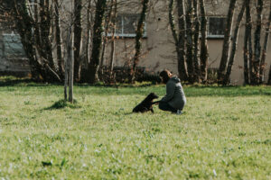 Educateur canin Rennes