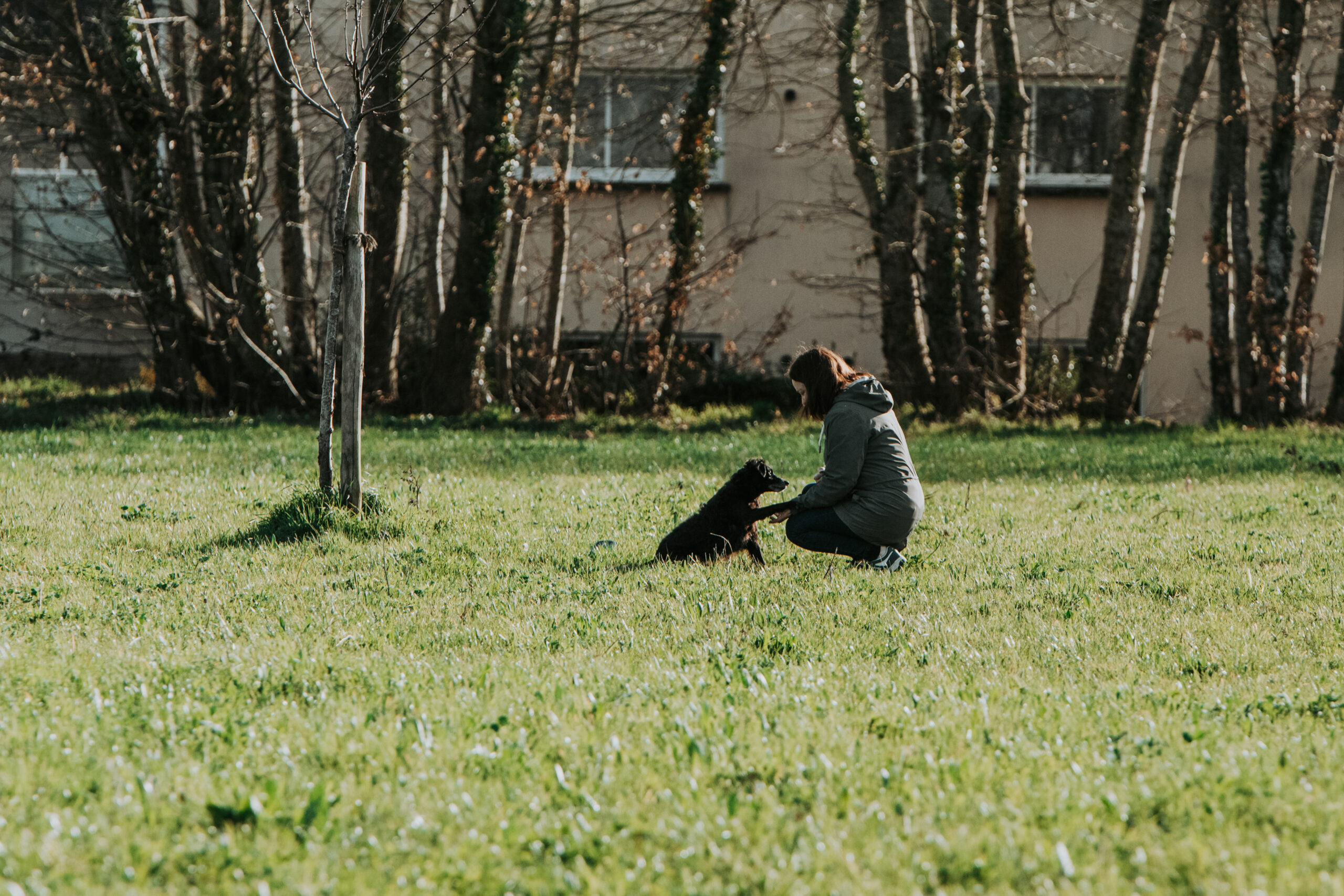 Educateur canin Rennes