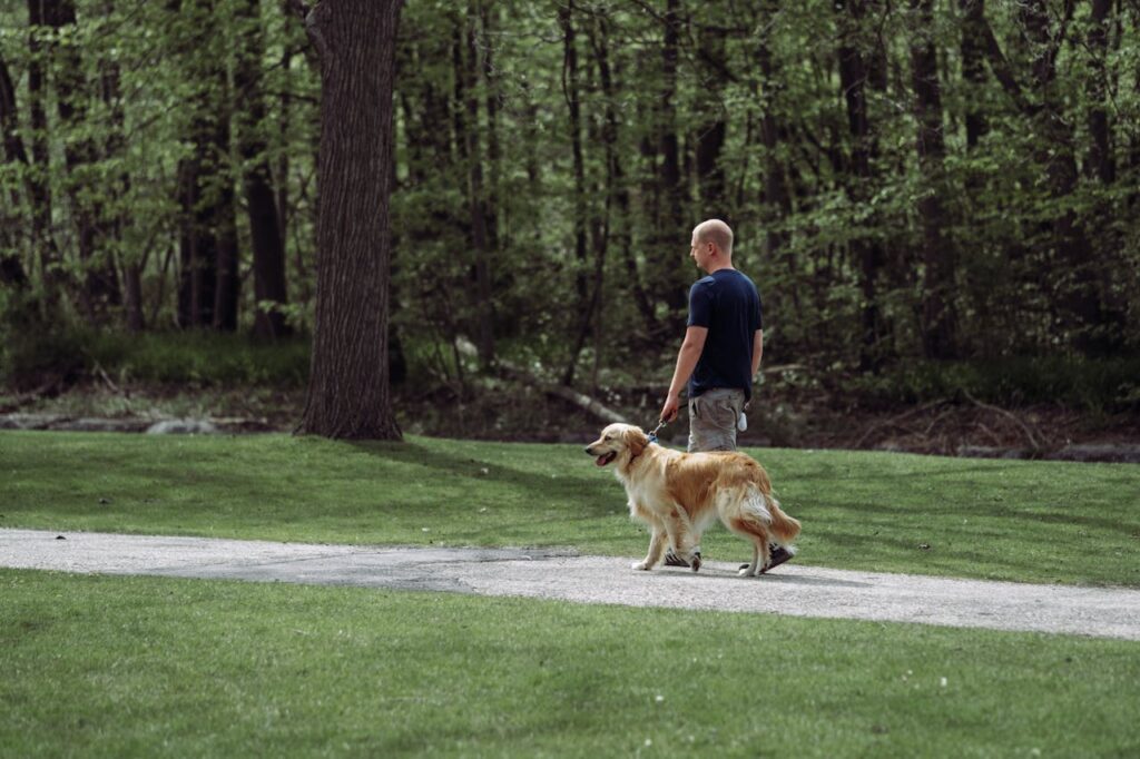 Où promener son chien près de chez vous : Guide des meilleurs spots