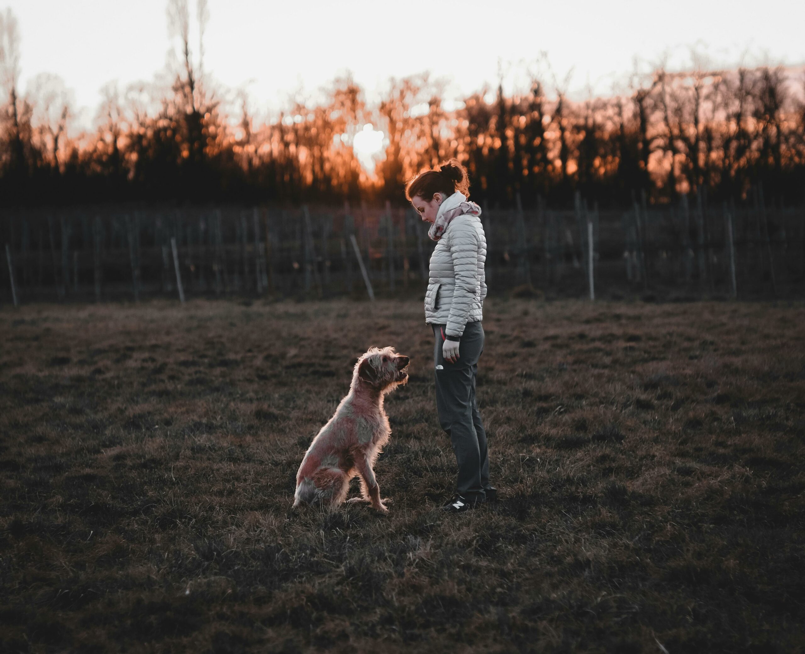 A woman and her dog share a serene moment at sunset in an open field.