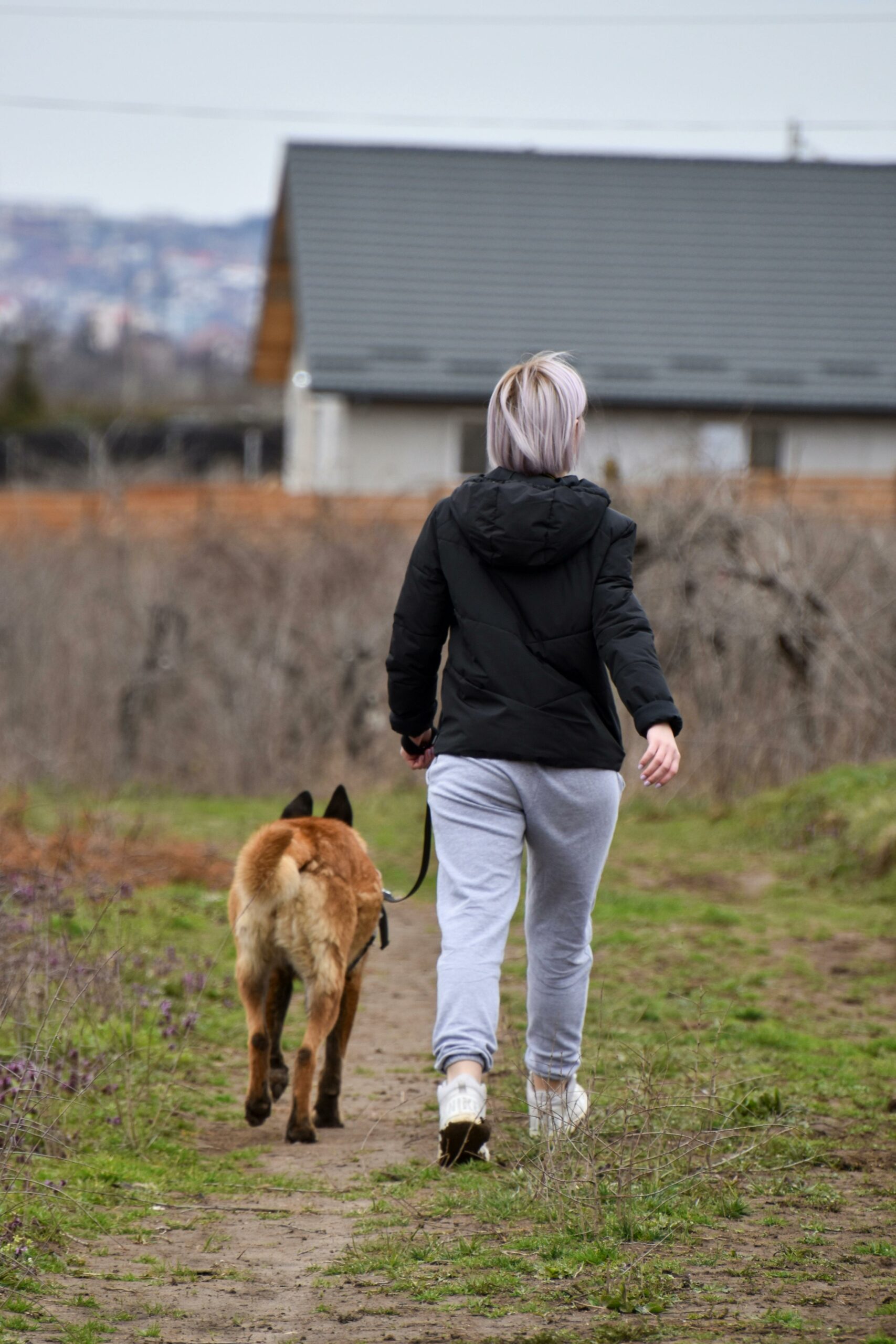 Séances d’éducation canine à Rennes