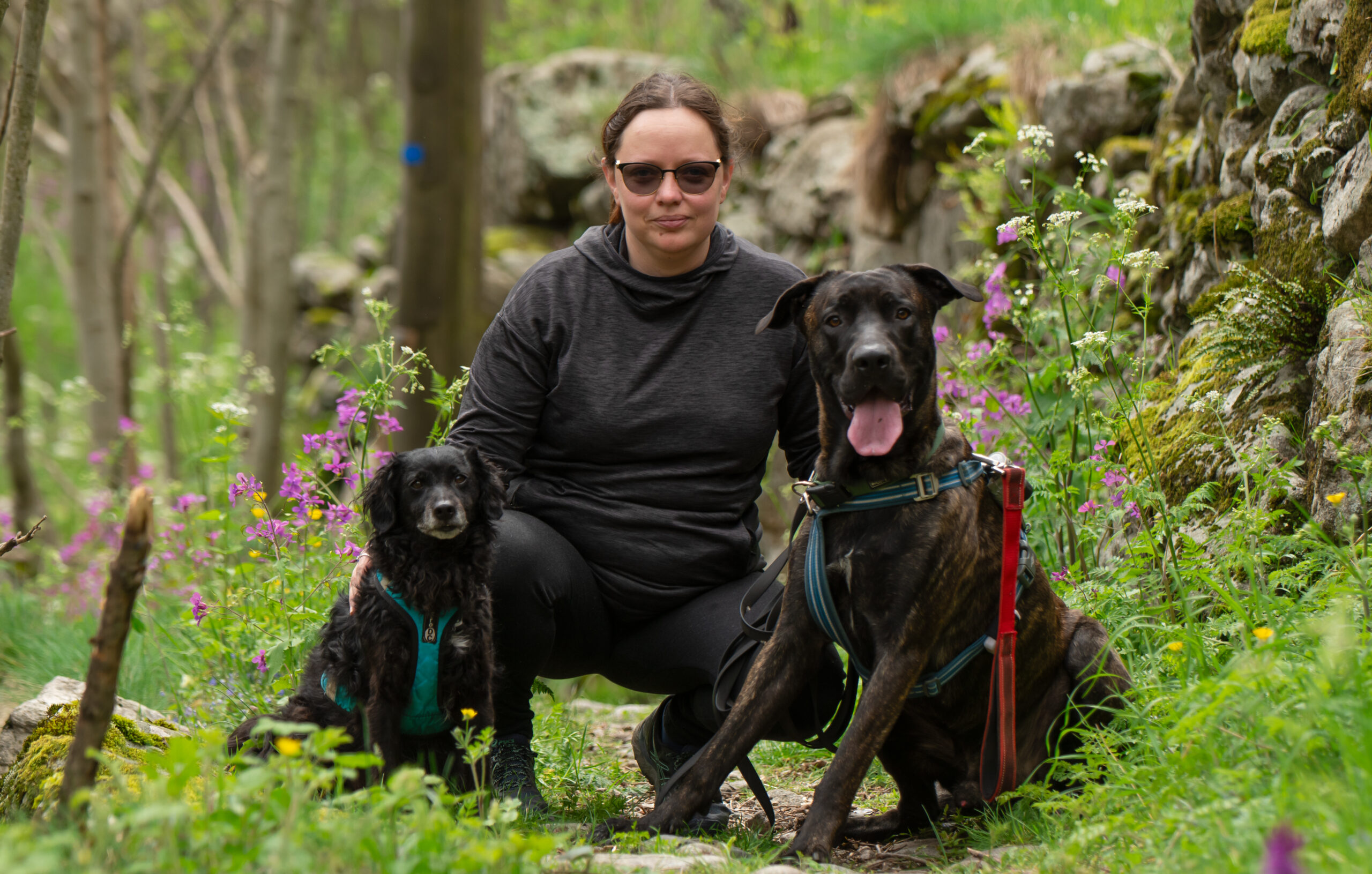 Balade en nature avec un chien réactif en vacances