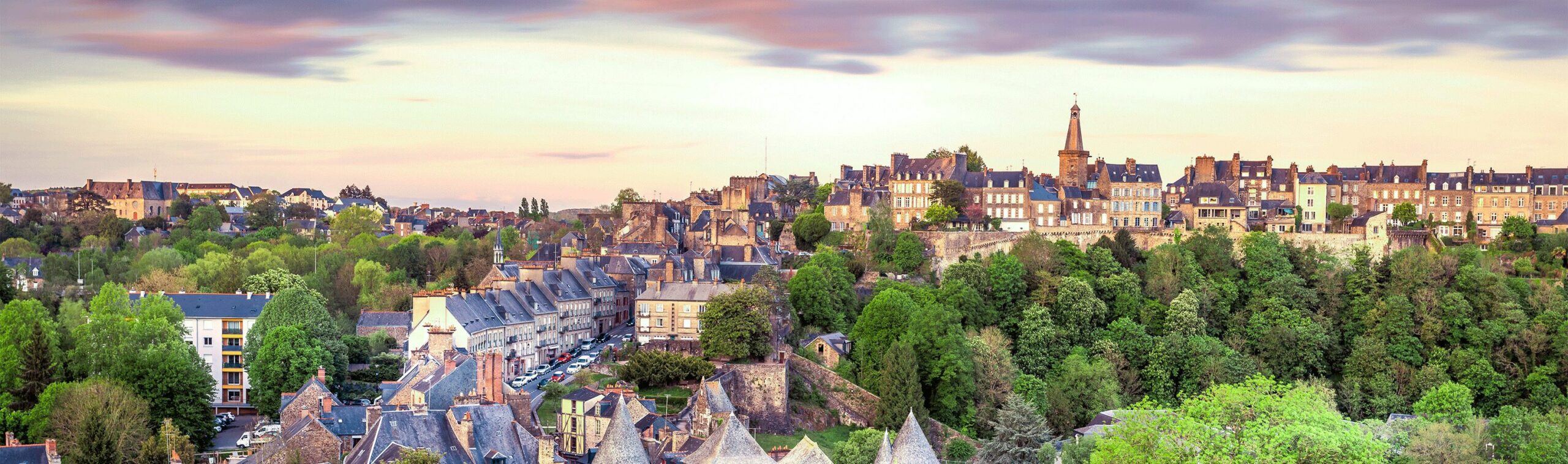 Éducateur canin à Fougères