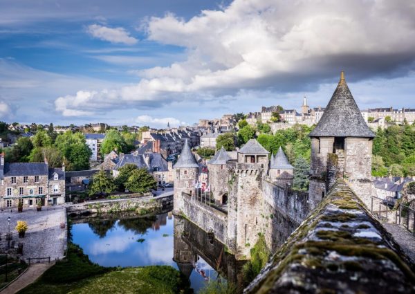 Éducateur canin Fougères